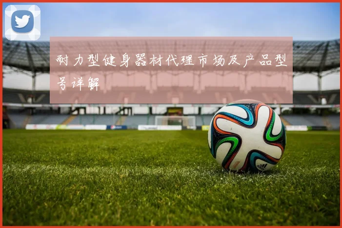 耐力型健身器材代理市场及产品型号详解