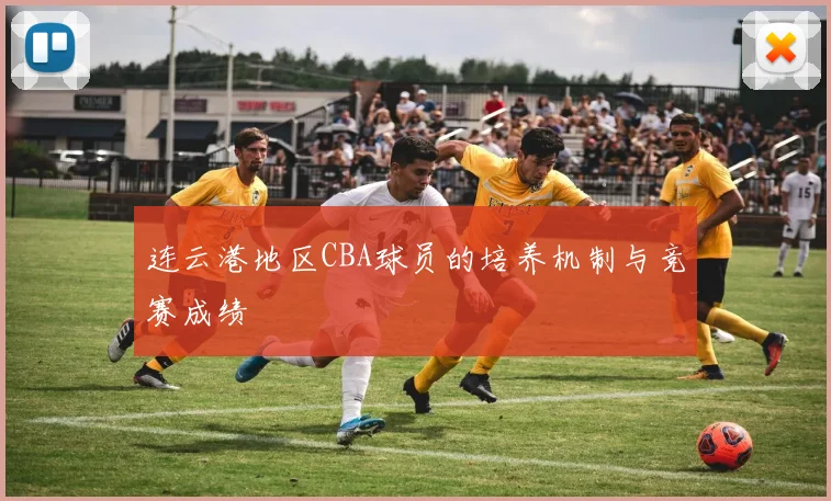 连云港地区CBA球员的培养机制与竞赛成绩